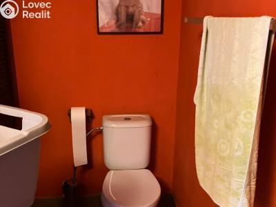 Prodej vícegeneračního domu Čelechovice na Hané č. 18