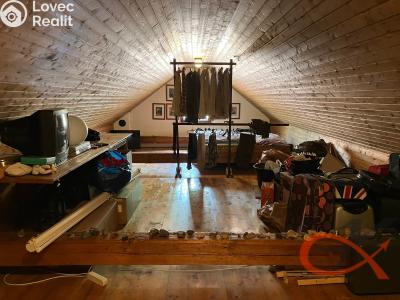 Prodej vícegeneračního domu Čelechovice na Hané č. 23