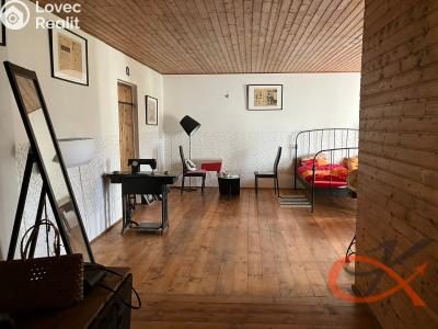 Prodej vícegeneračního domu Čelechovice na Hané č. 30