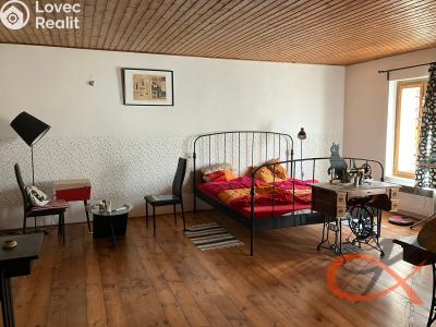Prodej vícegeneračního domu Čelechovice na Hané č. 31