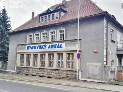 Аренда производственного цеха Děčín, Teplická č. 2