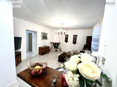 Sale multi-gen house Žatec, Žižkovo náměstí 86 č. 3