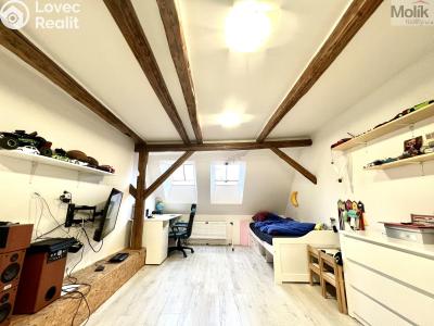 Sale multi-gen house Žatec, Žižkovo náměstí 86 č. 19