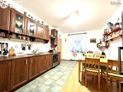 Sale multi-gen house Žatec, Žižkovo náměstí 86 č. 28