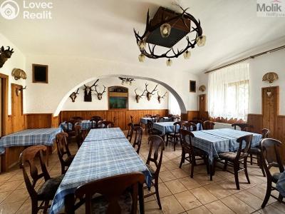 Pronájem ubytovacího zařízení Mikulov, Růžová č. 21
