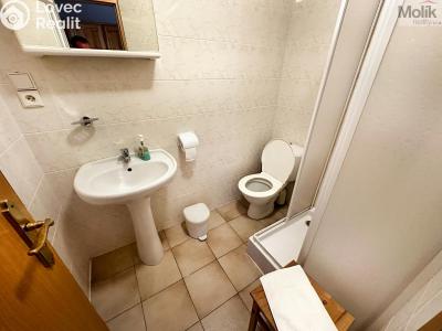 Pronájem ubytovacího zařízení Mikulov, Růžová č. 26