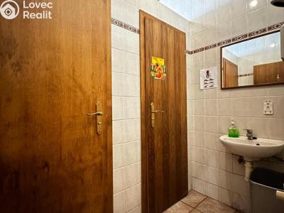 Pronájem ubytovacího zařízení Mikulov, Růžová č. 33