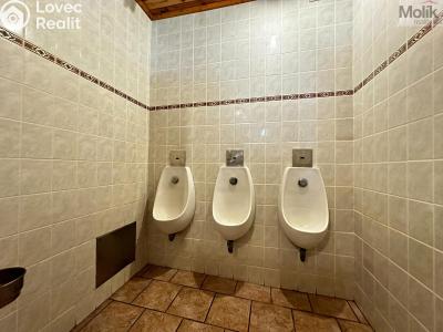 Pronájem ubytovacího zařízení Mikulov, Růžová č. 34