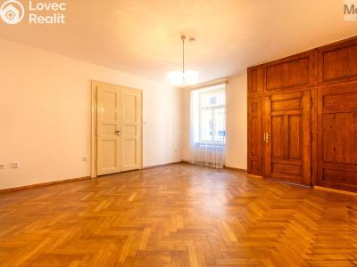 Sale multi-gen house Žatec, Oblouková 215 č. 4