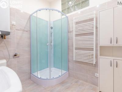 Sale multi-gen house Žatec, Oblouková 215 č. 8