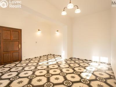 Sale multi-gen house Žatec, Oblouková 215 č. 12