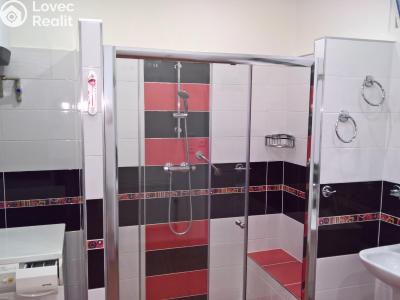 Sale multi-gen house Žatec, Oblouková 215 č. 29