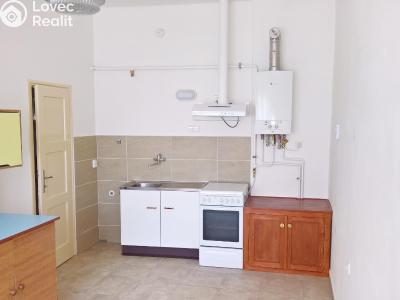 Sale multi-gen house Žatec, Oblouková 215 č. 32