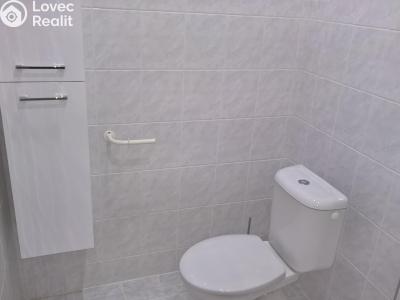 Sale multi-gen house Žatec, Oblouková 215 č. 37