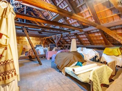 Sale multi-gen house Žatec, Oblouková 215 č. 38