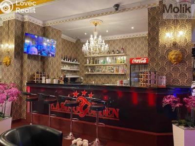 Pronájem restaurace Teplice, Masarykova třída č. 1