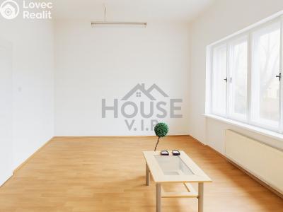 Prodej ubytovacího zařízení Roudnice nad Labem, Špindlerova třída č. 5