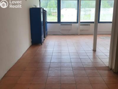 Pronájem komerční nemovitosti Korozluky č. 10