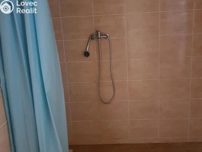 Pronájem komerční nemovitosti Korozluky č. 30