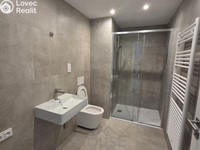 Sale apartment 2+KK Kladno, U Engerthu č. 3