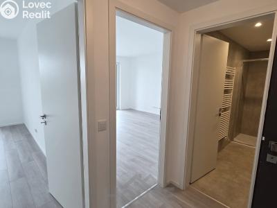 Sale apartment 2+KK Kladno, U Engerthu č. 8