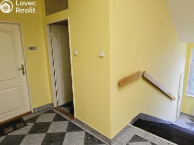 Pronájem obchodního prostoru Bílina, Náměstí č. 6