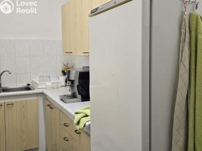 Pronájem obchodního prostoru Bílina, Náměstí č. 15