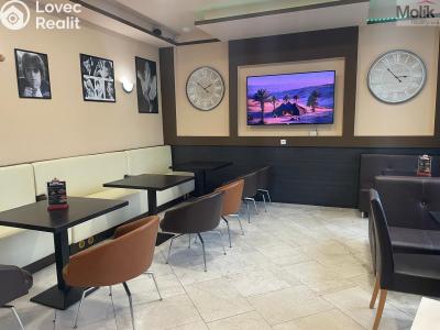 Pronájem restaurace Teplice, Benešovo náměstí č. 3