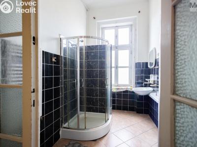 Продажа квартиры 3+1 Teplice, Jungmannova č. 7
