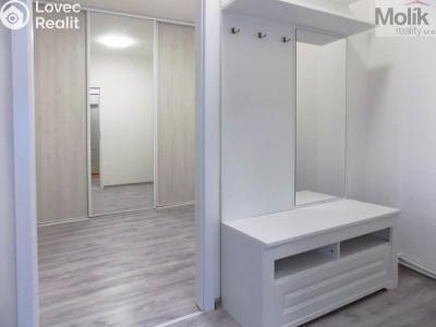 Оренда квартири 2+1 Teplice, U Hadích lázní č. 8