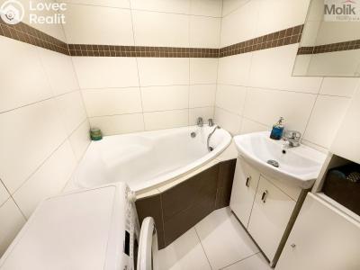 Prodej bytu 3+1 Teplice, Scheinerova č. 1