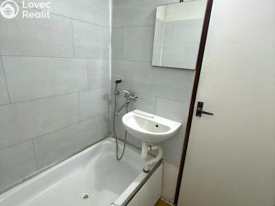 Pronájem bytu 1+1 Chlumec, Klidná č. 7
