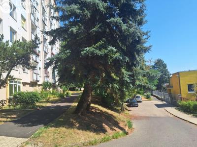 Sale apartment 2+1 Krupka, Karla Čapka 258 č. 3