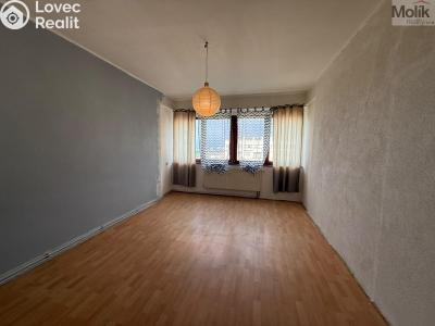 Prodej bytu 1+1 Litvínov, Koldům č. 8