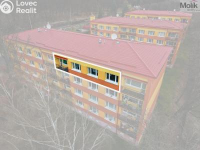 Prodej bytu 5+1 Osek, Lidická č. 29