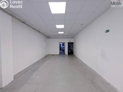 Pronájem výrobní haly Teplice, Pražská 3259 č. 7