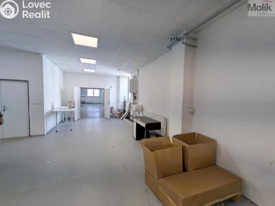 Pronájem výrobní haly Teplice, Pražská 3259 č. 8