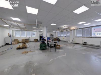 Pronájem výrobní haly Teplice, Pražská 3259 č. 9