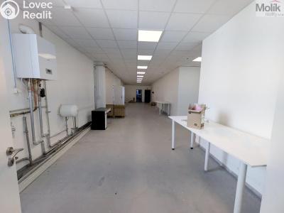 Pronájem výrobní haly Teplice, Pražská 3259 č. 11