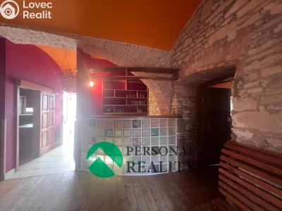 Rent commercial properties Tursko, Ke Statkům 16 č. 12