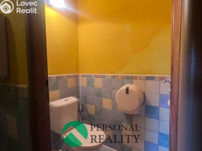 Rent commercial properties Tursko, Ke Statkům 16 č. 38