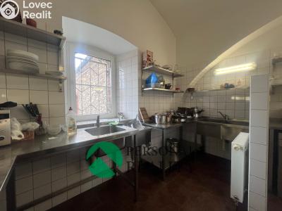 Rent production hall Tursko, Ke Statkům 16 č. 20