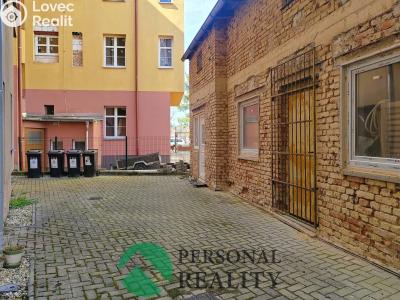 Prodej bytu 2+1 Mariánské Lázně, Lužická č. 11