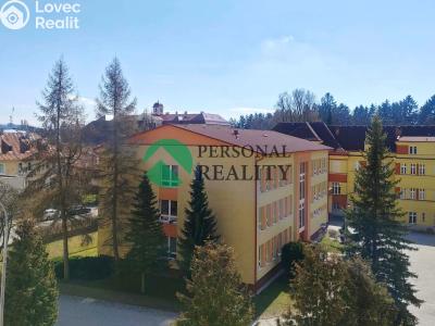 Prodej bytu 2+1 Mariánské Lázně, Lužická č. 9