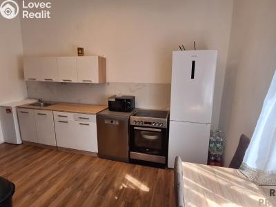 Prodej činžovního domu Trmice, U Mlýnského potoka č. 11