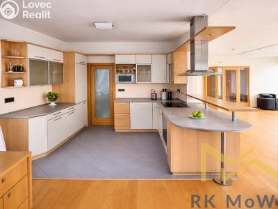Rent family house Praha č. 4