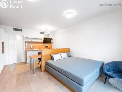 Pronájem bytu 1+KK Praha, Olšanská č. 12