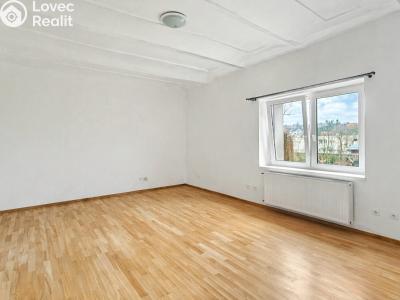Rent apartment 1+1 Třebotov, Hlavní č. 2