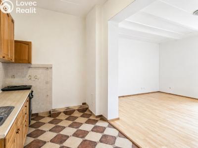 Rent apartment 1+1 Třebotov, Hlavní č. 3