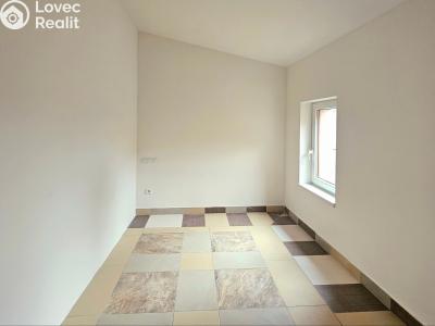 Rent apartment 1+1 Třebotov, Hlavní č. 6